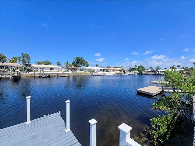 dock area with a water view