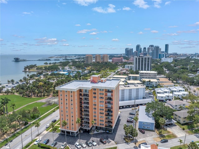 drone / aerial view of a large body of water and a skyline view