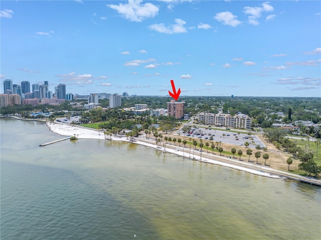 bird's eye view of a view of skyline and a large body of water