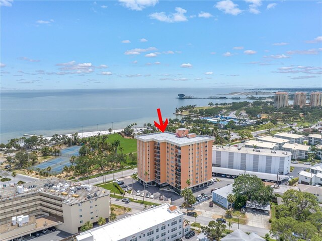 1120 N Shore Dr NE Unit 804, Saint Petersburg, FL 33701 - photo 24