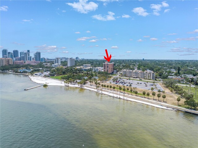 1120 N Shore Dr NE Unit 804, Saint Petersburg, FL 33701 - photo 28