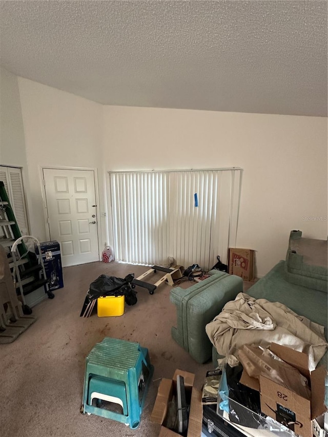 135 Pinewinds Blvd, Oldsmar, FL 34677 - carpeted living room featuring a textured ceiling