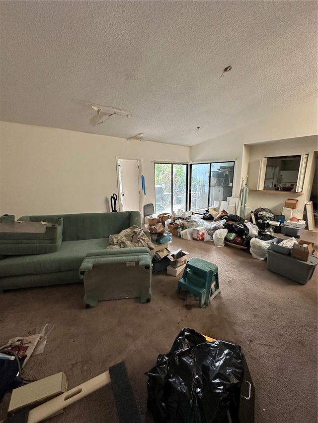 135 Pinewinds Blvd, Oldsmar, FL 34677 - carpeted living room with a textured ceiling