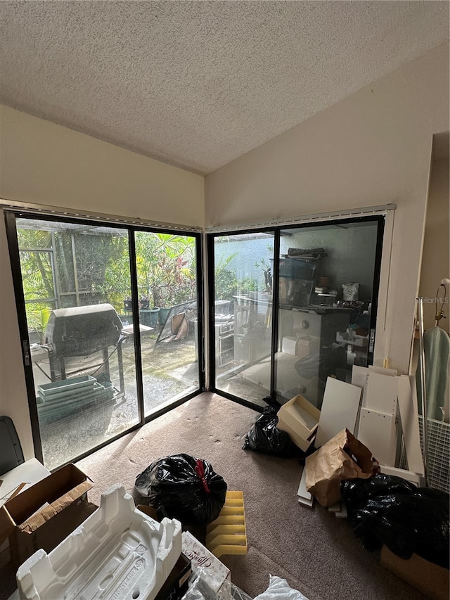 135 Pinewinds Blvd, Oldsmar, FL 34677 - carpeted living room with a textured ceiling