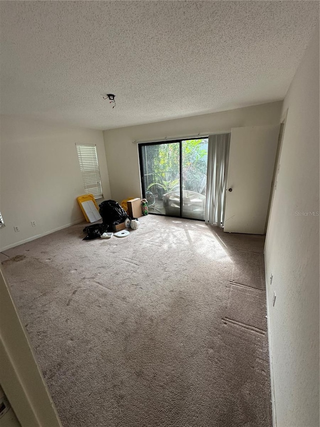 135 Pinewinds Blvd, Oldsmar, FL 34677 - unfurnished living room with healthy amount of natural light, carpet floors, and a textured ceiling