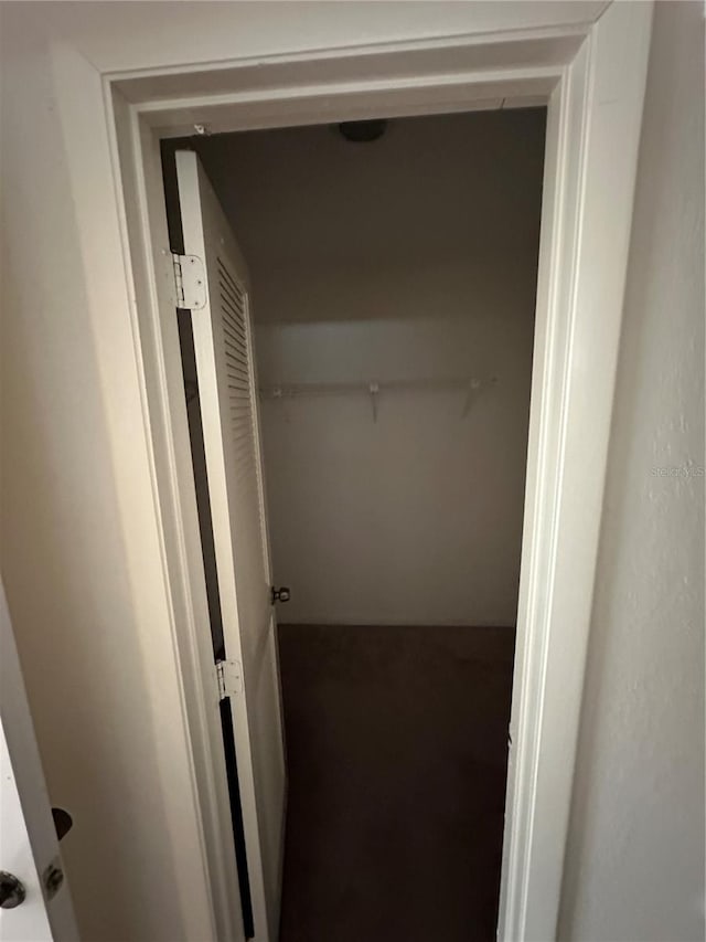 135 Pinewinds Blvd, Oldsmar, FL 34677 - view of spacious closet