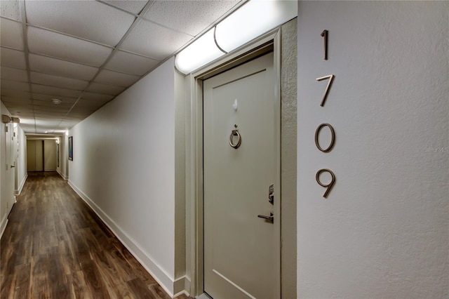 400 Island Way Unit 1709, Clearwater Beach, FL 33767 - hallway with dark wood-style floors, baseboards, and a paneled ceiling