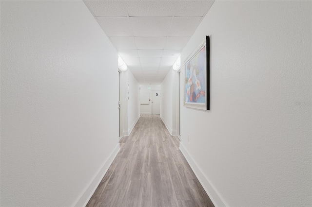 400 Island Way Unit 1709, Clearwater Beach, FL 33767 - hallway featuring wood finished floors and a drop ceiling