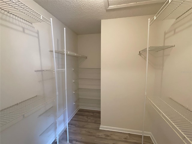 16517 Norwood Dr, Tampa, FL 33624 - photo 15