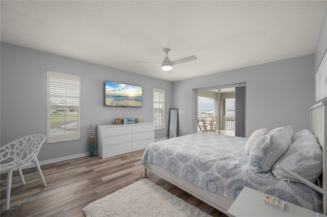 5193 Boyle Ter, Port Charlotte, FL 33981 - bedroom with multiple windows, wood finished floors, access to outside, and baseboards