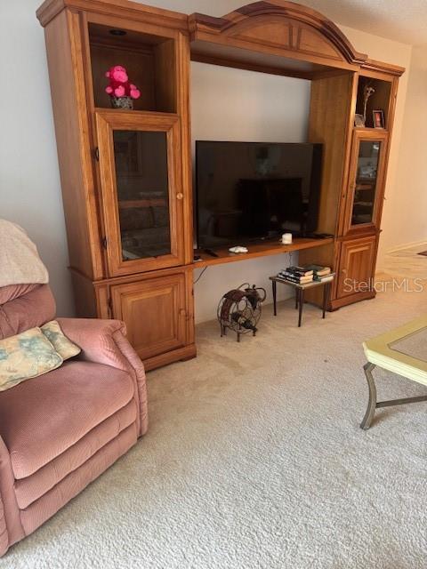 living area featuring carpet floors
