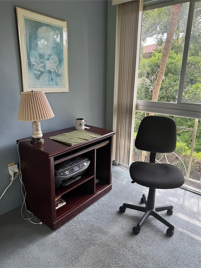 office area with carpet