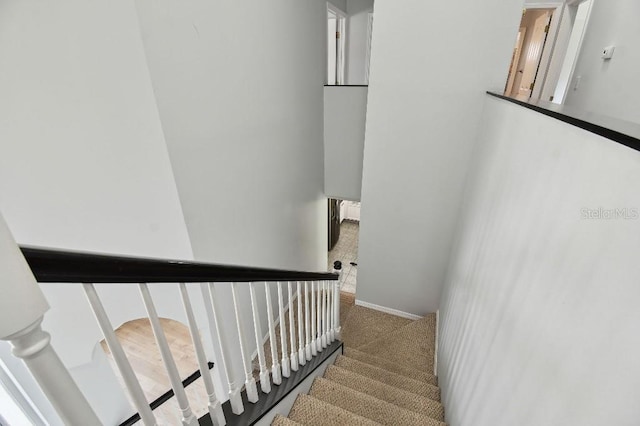 27012 Sea Breeze Way, Wesley Chapel, FL 33544 - stairway featuring carpet
