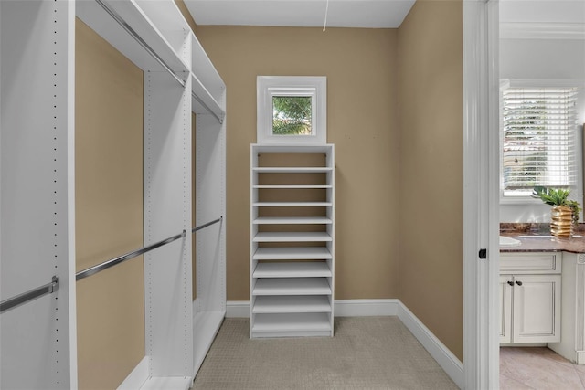 spacious closet featuring light colored carpet