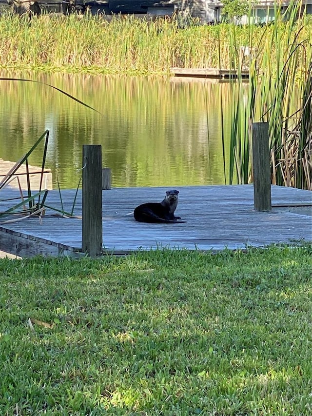 916 Shangri La Dr, Seffner, FL 33584 - dock featuring a water view and a lawn