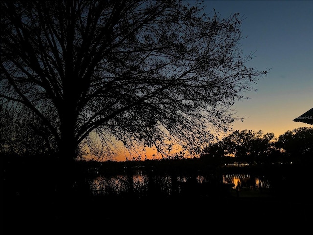 916 Shangri La Dr, Seffner, FL 33584 - nature at dusk featuring a water view