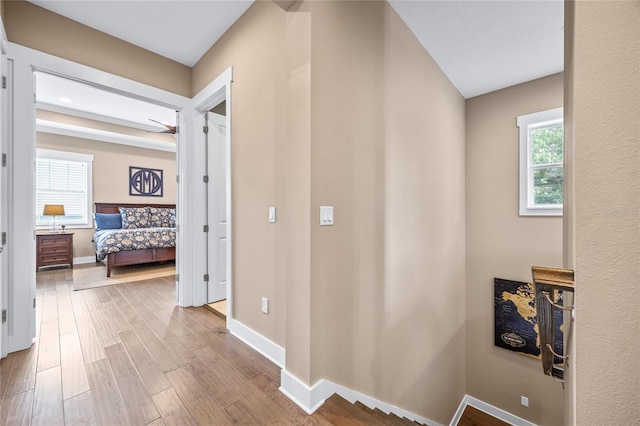 3611 W Royal Palm Cir, Tampa, FL 33629 - corridor featuring wood finished floors and baseboards