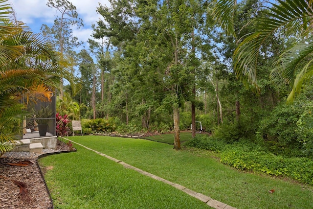 view of grassy yard