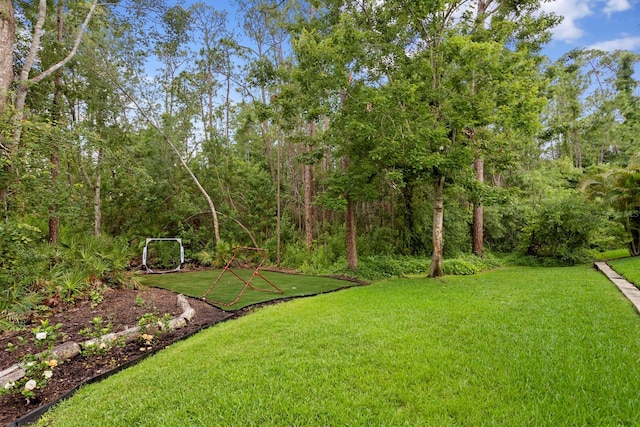 view of grassy yard