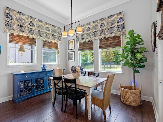 1104 Isobel Reserve Ln, Tampa, FL 33613 - dining space featuring baseboards, dark wood-style flooring, and ornamental molding