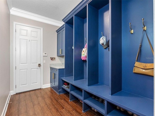 1104 Isobel Reserve Ln, Tampa, FL 33613 - mudroom with dark wood-style floors, ornamental molding, baseboards, and a textured ceiling