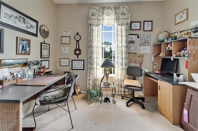 2258 Preservation Green Ct, Sun City Center, FL 33573 - photo 46