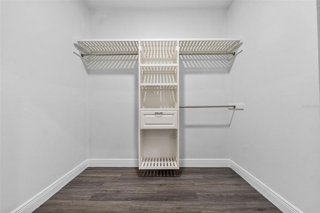 walk in closet featuring wood finished floors