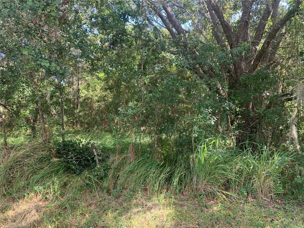 0 Haig St, Lake Wales, FL 33898 - photo 1