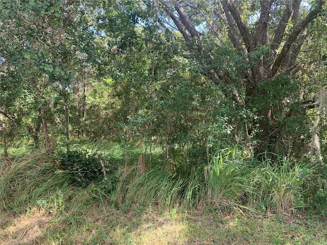 0 Haig St, Lake Wales, FL 33898 - photo 1