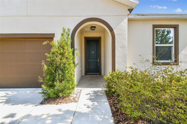 10628 Massimo Dr, Wimauma, FL 33598 - property entrance featuring a garage and stucco siding