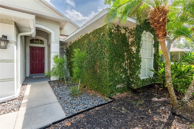 2008 Berry Lake Dr, Brandon, FL 33510 - doorway to property featuring stucco siding