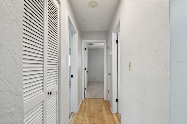 11762 82nd Ter, Seminole, FL 33772 - corridor featuring light wood-type flooring, a textured wall, and attic access