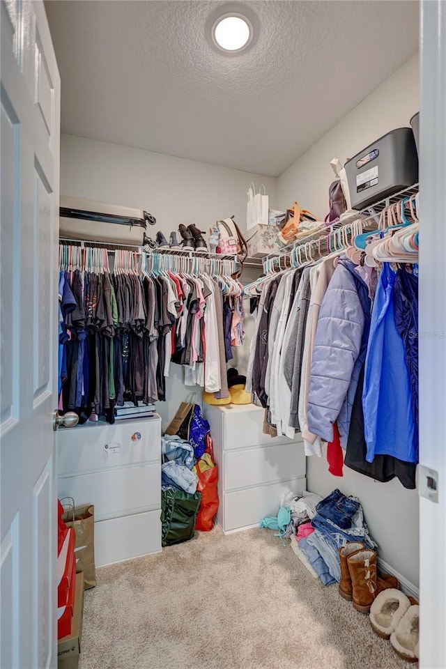 12710 Hysmith Loop, Parrish, FL 34219 - walk in closet featuring carpet floors