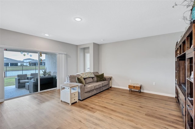 12710 Hysmith Loop, Parrish, FL 34219 - living room with light wood-style flooring, baseboards, and recessed lighting