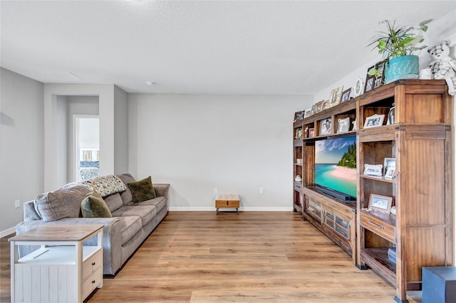 12710 Hysmith Loop, Parrish, FL 34219 - living room featuring light wood-style flooring, baseboards, and a textured ceiling