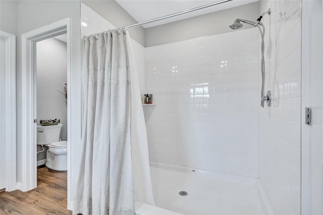 12710 Hysmith Loop, Parrish, FL 34219 - full bathroom with wood finished floors, a shower stall, and toilet