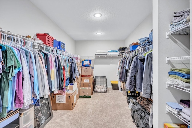 12710 Hysmith Loop, Parrish, FL 34219 - walk in closet featuring carpet floors