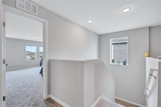 12710 Hysmith Loop, Parrish, FL 34219 - stairs with carpet, baseboards, and recessed lighting