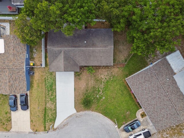 bird's eye view