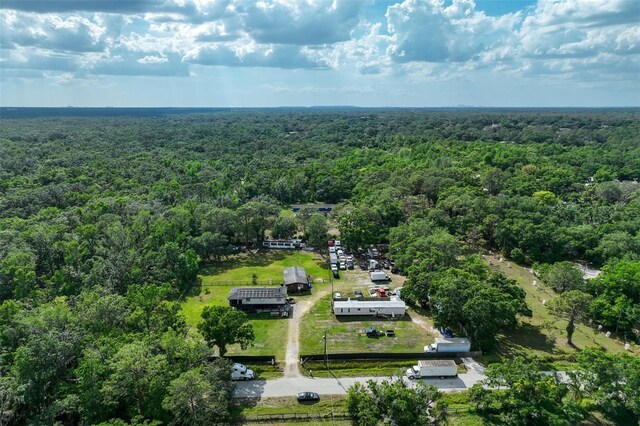 4424 Rose St, Valrico, FL 33596 - photo 5