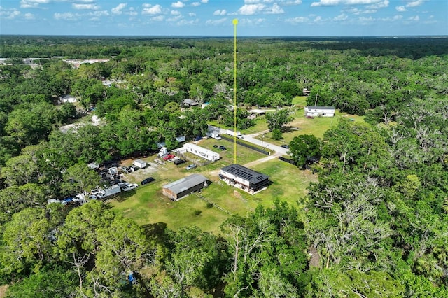 4424 Rose St, Valrico, FL 33596 - photo 27
