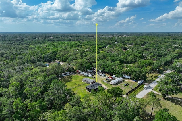 4424 Rose St, Valrico, FL 33596 - photo 31