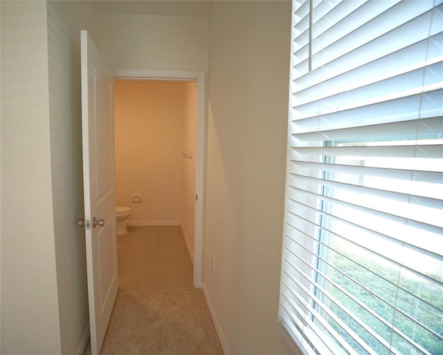10928 Carlton Fields Dr, Riverview, FL 33579 - hall with light colored carpet, light tile patterned floors, baseboards, and a healthy amount of sunlight
