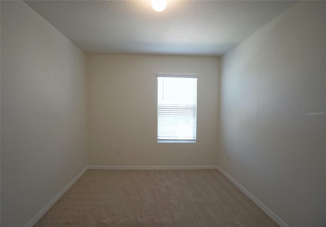 10928 Carlton Fields Dr, Riverview, FL 33579 - spare room with baseboards and light carpet
