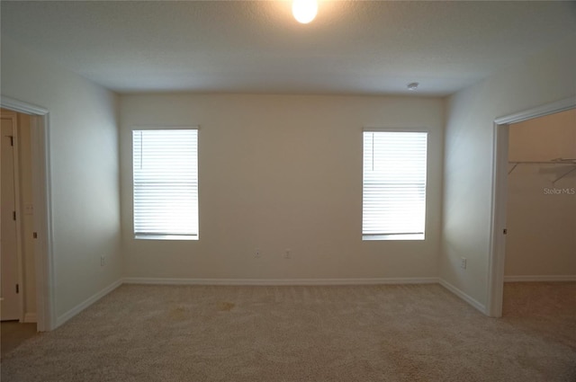10928 Carlton Fields Dr, Riverview, FL 33579 - unfurnished bedroom featuring multiple windows, light carpet, and a spacious closet