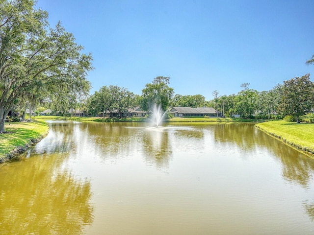 water view
