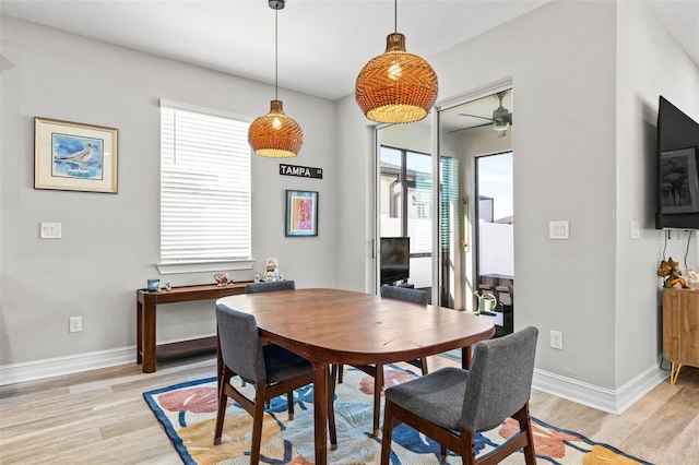 dining room with light wood-style floors, baseboards, and a ceiling fan