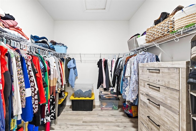 spacious closet with attic access and wood finished floors