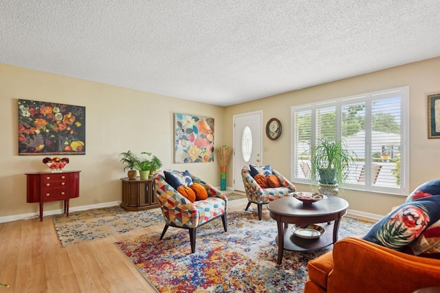 9018 39th Ln N Unit 5, Pinellas Park, FL 33782 - living area with light wood-type flooring, a textured ceiling, and baseboards