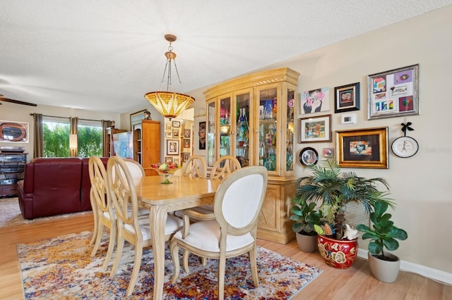 9018 39th Ln N Unit 5, Pinellas Park, FL 33782 - dining space with light wood-style floors, baseboards, and a textured ceiling